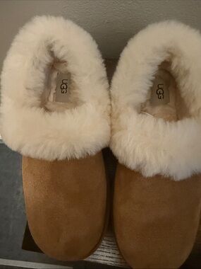 UGG Chestnut Suede Mules with Cream Sheepskin Collar Size 8 Worn Once